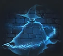 Disillusionment Charm