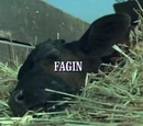 Episode 507: Fagin
