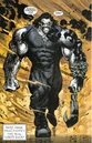 Lobo 029.jpg