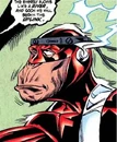 Flash JLApe 002.jpg