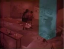Rats Like Cheese.png