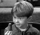 The Pickle Story