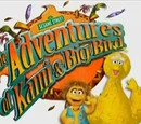 The Adventures of Kami and Big Bird