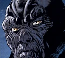 Sora Bulq