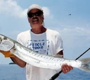 Barracuda