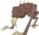 Turoth