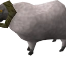 Ram