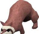 Ferret of Doom