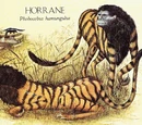 Horrane