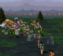 Swordsman Attack