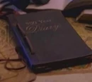 Nine Hundred Year Diary