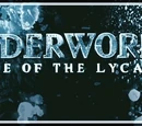 Logo images