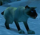 Cat Carrier (Siamese)