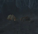 Ariden's Camp