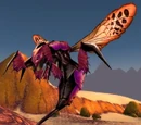 Centipaar Wasp