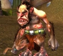 Stonesplinter Geomancer