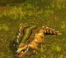 Elder Snapjaw Crocolisk