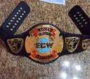 OWA Intercontinental Championship