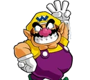 Wario Land 3D