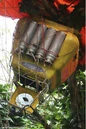 Balloon Closeup.jpg