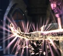 Magic