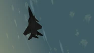 Black eagle