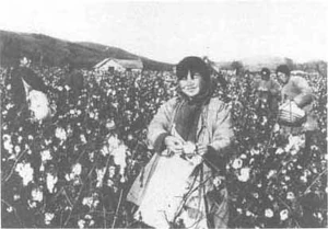 Cotton was an important crop in China. In the aftermath of the British Cotton Acts, Chinese merchants and Japanese textiles manufacturers formed stronger relationships.