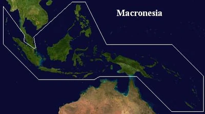 The area known as Macronesia consists of many smaller archipelagoes and encompasses Southeast Asian and Austral flora and fauna.