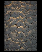 RHIZOM