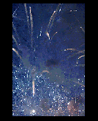 BRAINPOOL