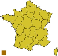Çubdibiçioneh de Françia