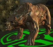 A Diseased Bear