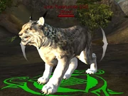 Lynx Forerunner
