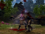 A Decapitation Fatality