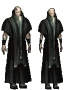 Homo Nano