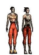 Homo Opifex