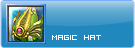:Magic Hat