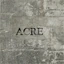 File:AssassinsCreed DefenderOfThePeopleAcre.jpg