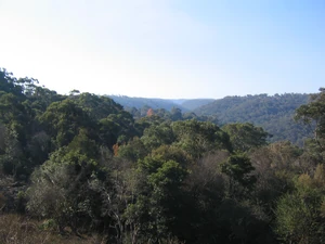 The view from Rofe Park across Hornsby Heights and Mount Colah.