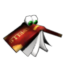Image:Cheato.png
