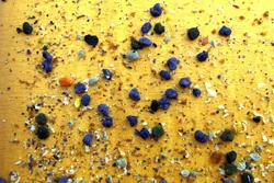 Pollen from Phacelia(the purple one)