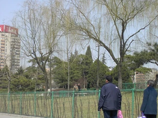 Same site, spring 2003
