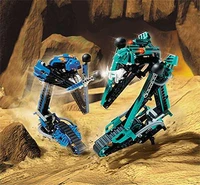 Two Tarakava battling each other