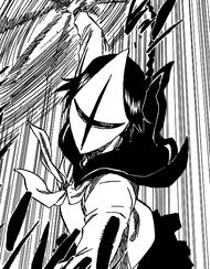 http://images2.wikia.nocookie.net/bleach/en/images/thumb/f/fd/Lisa_Vizard_mask,_375.jpg/190px-Lisa_Vizard_mask,_375.jpg