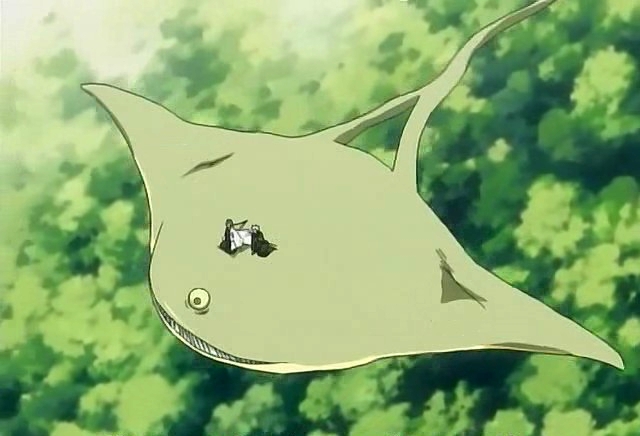 Shikai Shikai