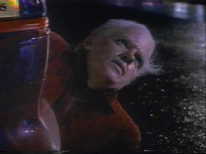 Biff Tannen caused himself to be erased from existence.