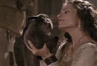 Before becoming a vengeance demon, the human Aud bred rabbits.
