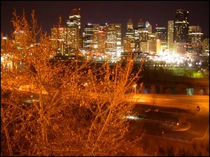 Calgary Skyline At Night
