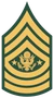 Sergeant Major of the Army