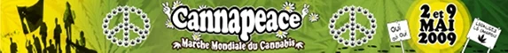 File:France 2009 GMM.jpg
